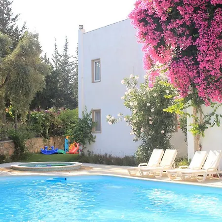 Princess Diltua 3* בודרום