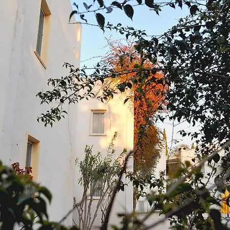 Princess Diltua 3* בודרום