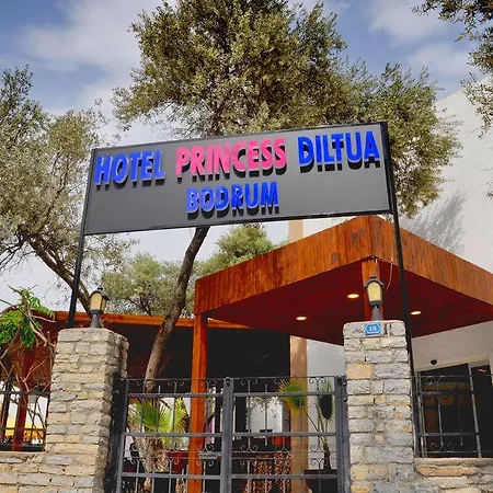 Princess Diltua מלון