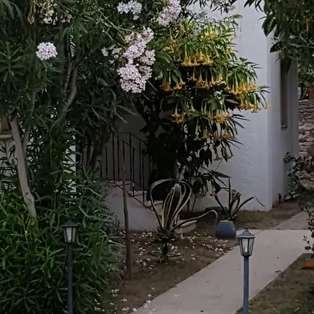 Princess Diltua מלון