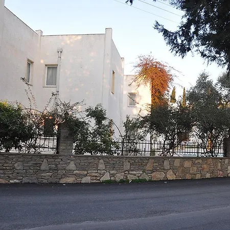 Princess Diltua Hotel 3*