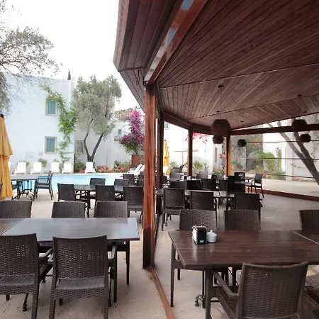 Szálloda Princess Diltua